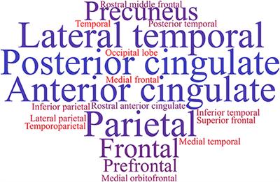 Cognitive Decline Assessment: A Review From Medical Imaging Perspective